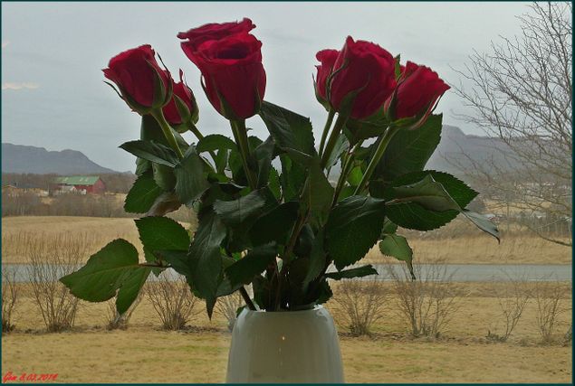 8.mars 2014.
Tusen takk for de lekre rosene Ingeborg! En forsinket morsdagshilsen fra min yngste datter Ingeborg :-) Tusen takk! 